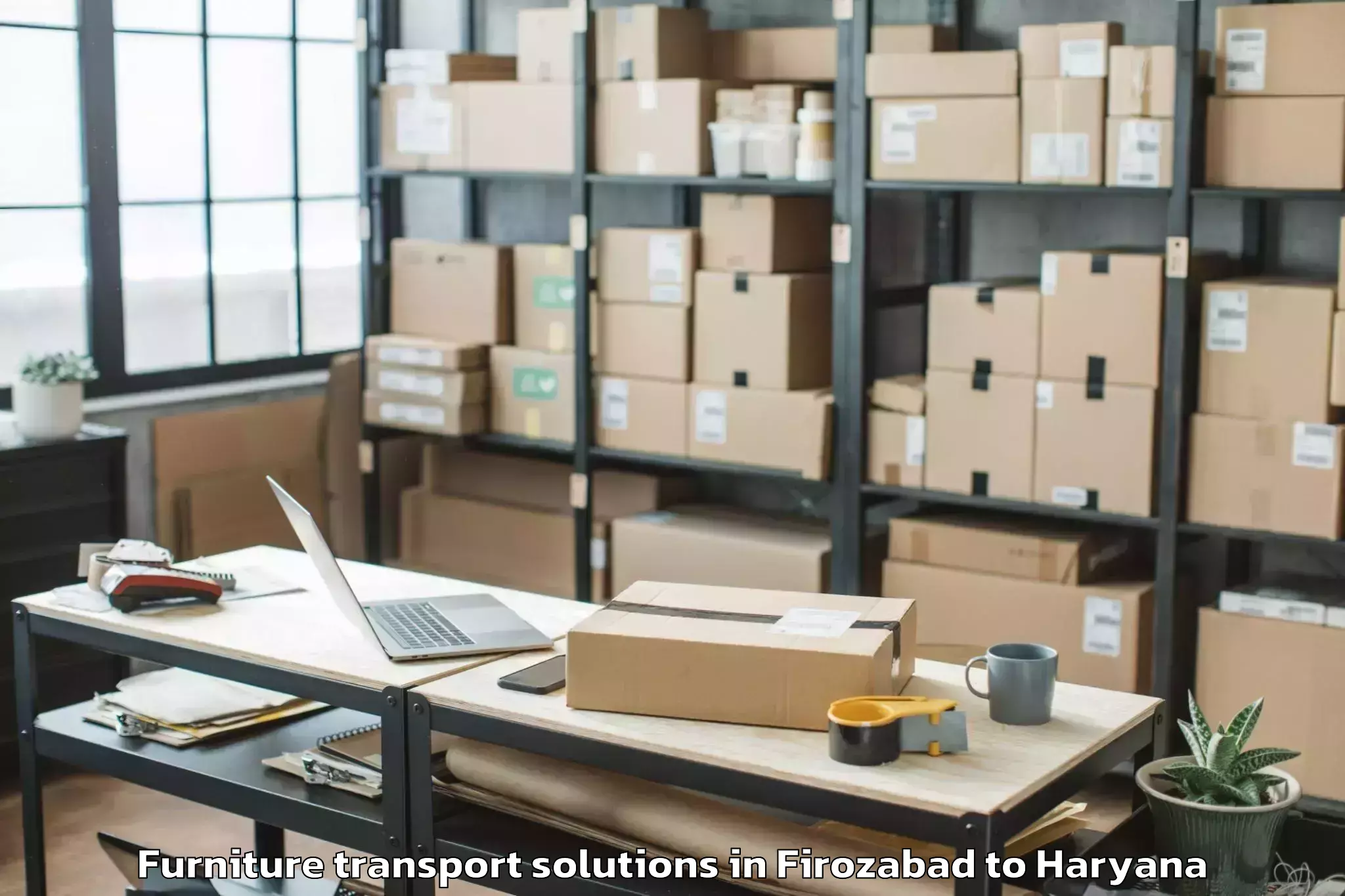 Easy Firozabad to Eros Ef3 Mall Furniture Transport Solutions Booking